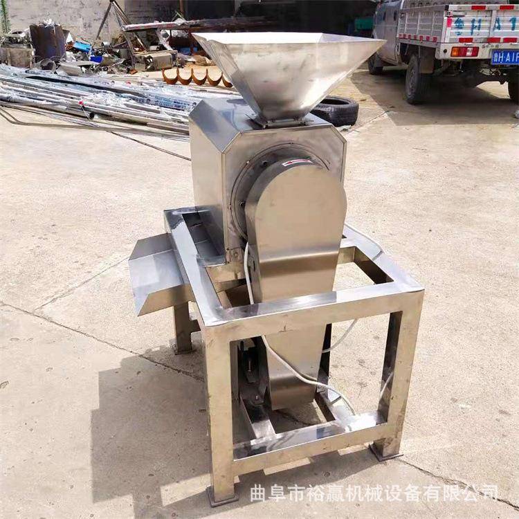 不核锈钢果榴莲打泥机E果商用芒去皮脱核打浆机工业水去打浆机