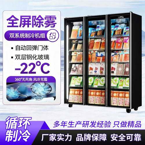 跨境商用冷展21186示单柜急冻肉类榴莲冰雪糕超市冻立式冷柜双玻