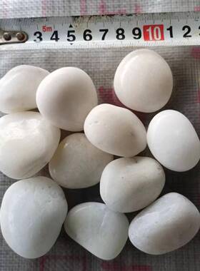 白卵色精抛鹅家石-cm鱼缸2铺底ASI石头子庭院铺地造景鹅卵石厂现