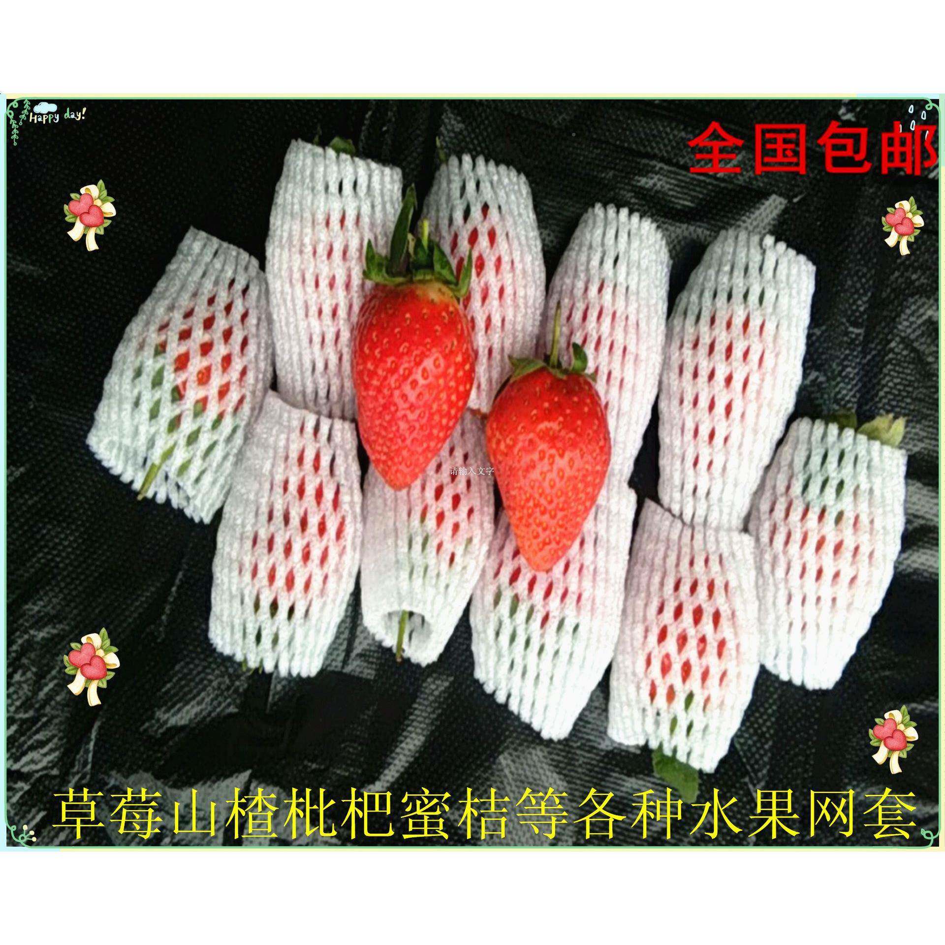 水果网套草莓包CH装山楂防摔泡花菜网兜梨网袋沫鸡蛋果芒塑料防