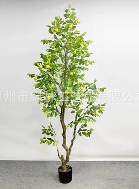 家厂直LL-31销家居客厅饰仿真柠檬树枝栽景装区落地摆件仿盆真植