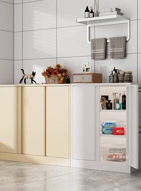 阳台收纳柜家用F98T68M7钢储物柜带防晒防晒杂外物柜铁皮锁户走廊