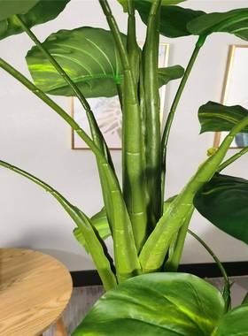 仿真万年青绿植栽办公客厅家饰塑料杆人造盆居仿真AL62063万年装