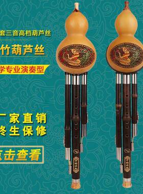 傣之音葫芦丝c调降b调初学入门儿童学生成人乐器胡芦丝8823