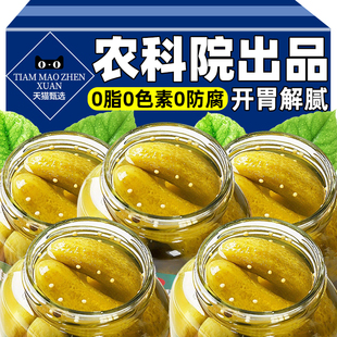 农科院严选正宗俄式酸乳瓜酸黄瓜官方旗舰店食材汉堡配即食下饭