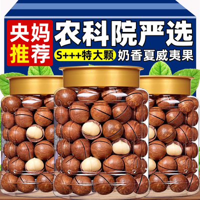 热销100W+无添加夏威夷果