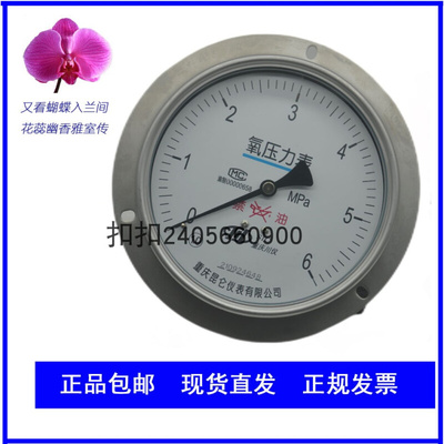 重庆YTHN-150ZT川仪压力表不锈钢耐震轴向带边-0.1-0mpa精度1.0级