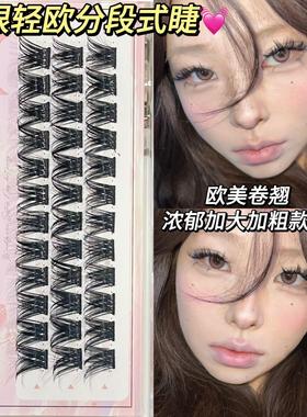 DOUDOUTIAN猫眼轻欧D翘欧美精致蓬松感浓密单簇假睫毛兜兜甜