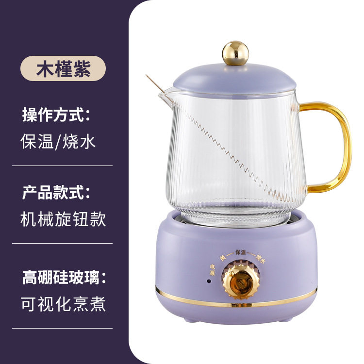 网红迷你养生电炖杯家用大容量多功能养生壶办公室桌面分体花茶壶