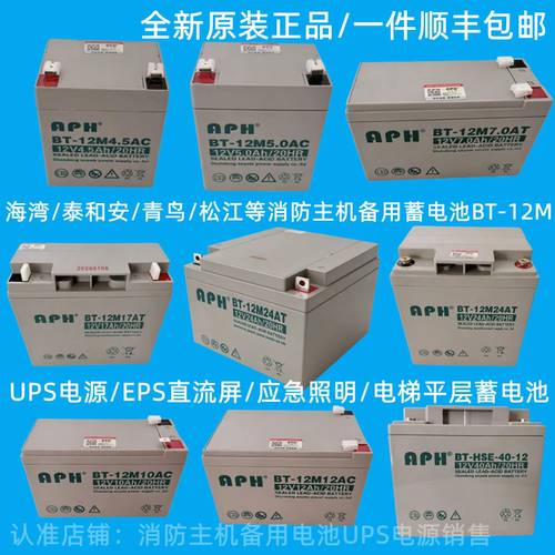 消防主机应急备用蓄电池BT-12M