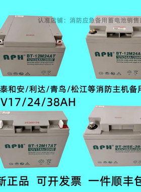 蓄电池BT-12M24AT海湾消防报警主机12V24AH17AH38AH北大青鸟UPS用