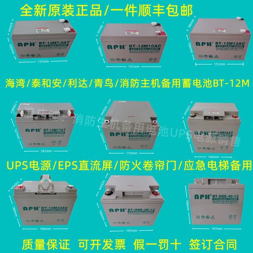 海湾GST松江利达天成泰和安消防主机EPS应急报警备用蓄电池12V24A