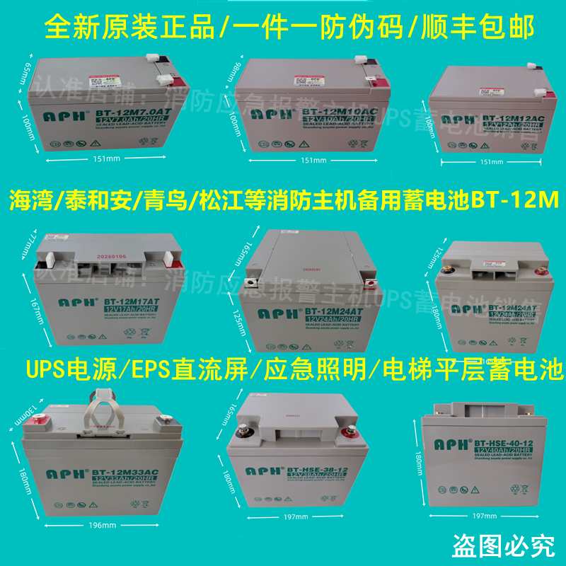 海湾GST松江天成利达泰和安消防主机EPS应急报警备用蓄电池BT-12M