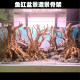 桌面盆景水草鱼缸草缸沉木松皮石虾木造景石一体骨架懒人创意造景