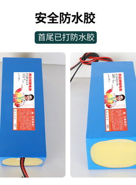 dyu大鱼d1d2d3S2S3V1智行车36V10ah安电动车自行车电瓶锂电池配件