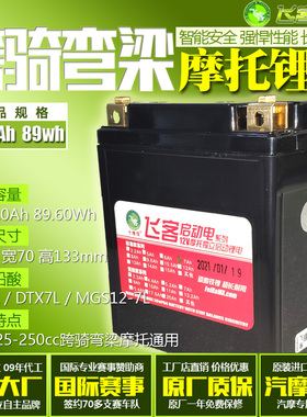 飞客12V摩托车锂电池瓶比亚乔埋地雷Medley150冲刺Sprint春天通用