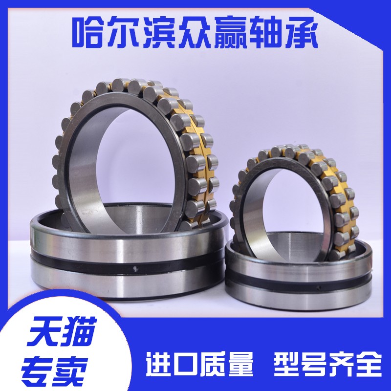 哈尔滨精密机床轴承NN3006 3007 3008 3009 3010 3011 3012 KP5P4