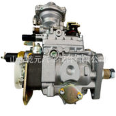 喷油泵 0460424354 T2643H076B 高压柴油 VE4 12F1300