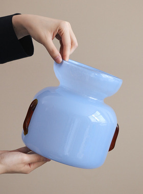 花瓶玻璃轻奢高级感摆件插花水培艺术风晴天蓝色设计感小众大口径