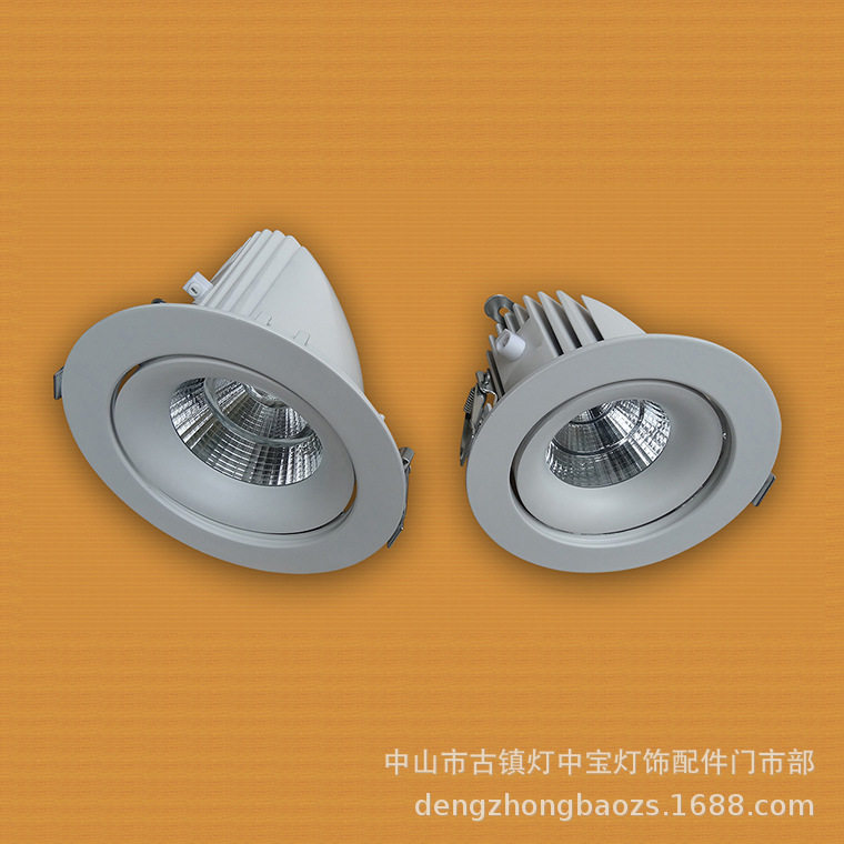 CP-20W/30W-COB象鼻灯外壳