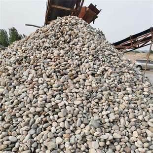 供应鹅卵石变压站用5-8cm污水处理河卵石树坑绿化鹅卵石大量现货