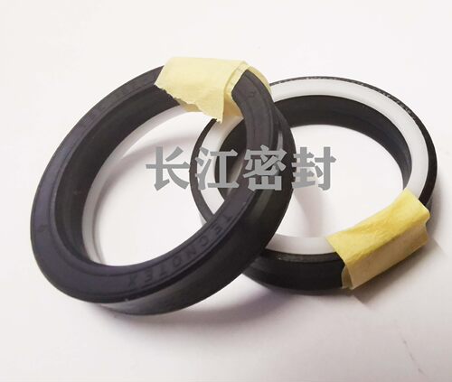 意大利TENCOTEX 液压密封件 活塞杆密封TSE 531472