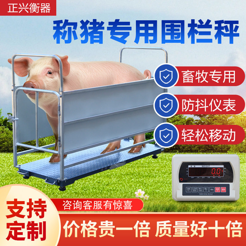 牧旺财围栏防抖多功能电子地磅