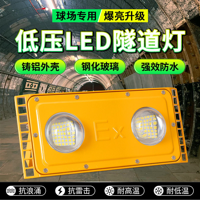 12V-36VLED防爆投光灯100W