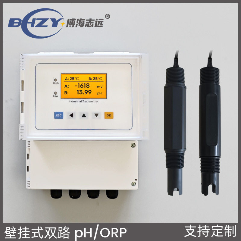 泳池双路pH/ORP监测加药泵