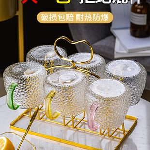 水杯家用套装 杯子欧式 具客厅泡茶杯待客玻璃杯家庭杯轻奢喝水杯子
