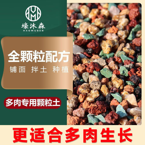 多肉专用全颗粒土植物彩虹石