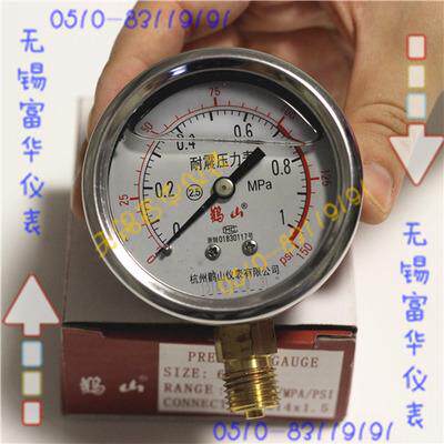 杭州鹳山仪表YN-60系列 耐震压力表