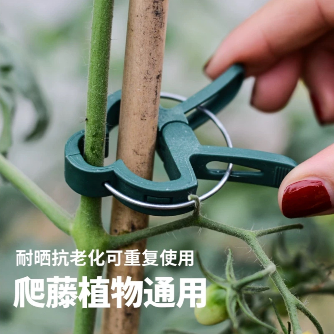 爬藤植物固定夹绿色卡扣大号藤蔓蔬菜番茄花卉瓜果枝条固定夹子扣