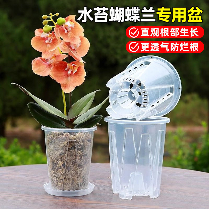 透明塑料镂空控根透气大号花盆