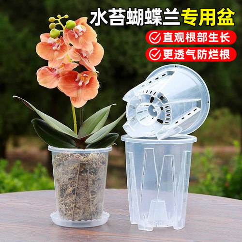 透明塑料镂空控根透气大号花盆