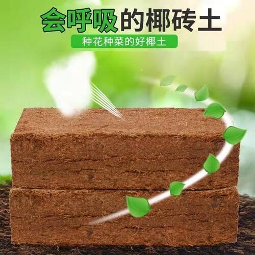 通用椰砖营养土椰糠粗椰壳种花