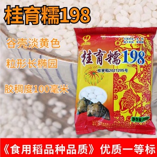常规糯谷种子糯谷水稻种子桂育糯198香糯十足口感好500g/袋可留种