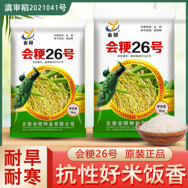 原装正品优质水稻种子留种会粳26号高山海拔水稻种子口感好产量高