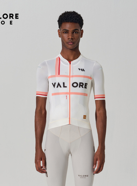 VALOREAOE夏季2026年新款凉感山地公路车骑行服彩格颂短袖上衣男