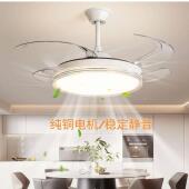 餐厅风灯隐形山风扇扇简风客厅餐厅卧室吊扇644灯扇灯中灯具风极