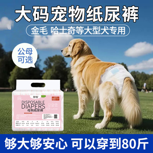 金毛大狗狗纸尿裤母狗生理安全裤
