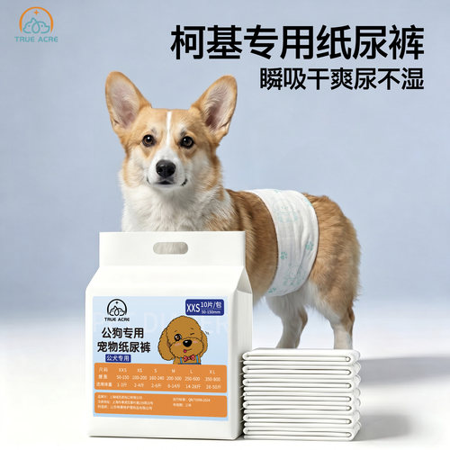 柯基专用纸尿裤尿不湿宠物小公狗