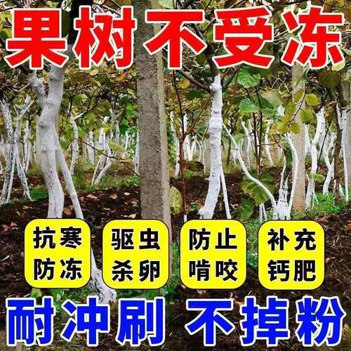 树木涂白剂果树防虫树干