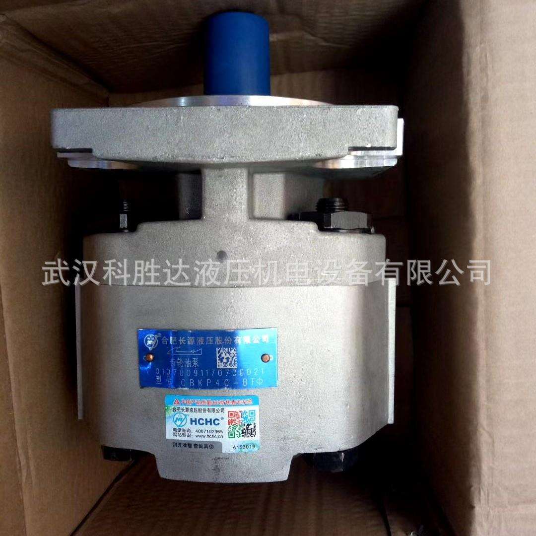 长源齿轮油泵CBKP100/80/63/50/40/32BFHL BFPL随车吊 双联泵钻机