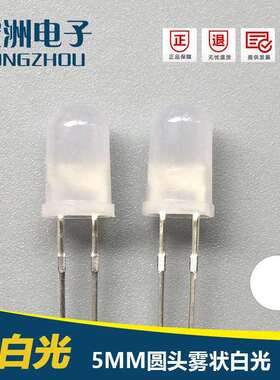 F5圆头雾状白发白灯 发光二极管 LED灯珠 5MM雾状白光