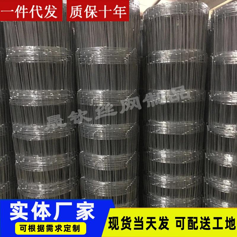 牛栏网果园圈地钢丝围栏网养殖牛羊鸡防护网镀锌铁丝网围栏护栏网