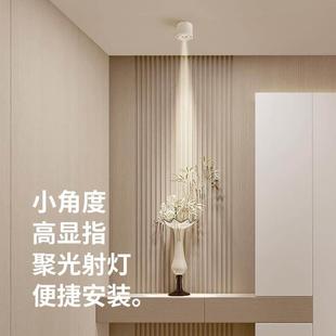 厂家至御明装 茶室3度8度15度餐桌氛 一束聚光射灯超薄小角度嵌入式