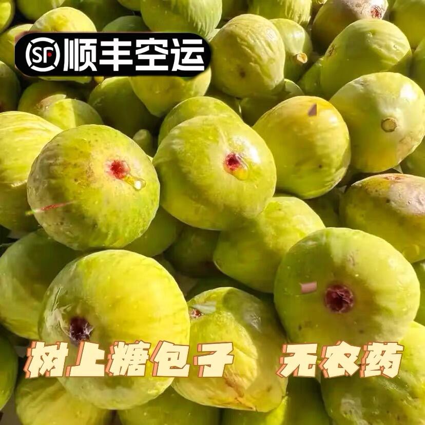 （顺丰空运）正宗山东威海青皮无花果新鲜采摘糖包子孕妇时令鲜果