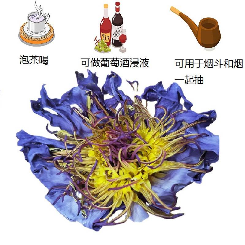 埃及蓝莲花干花蓝睡莲 Nymphaea Caerulea可做葡萄酒浸液/可抽烟-封面