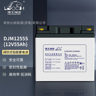 LEOCH理士蓄电池DJM1255S12V55AHUPS及计算机备用电源